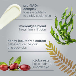 dermalogica dynamic skin sculptor body serum the facial maestro